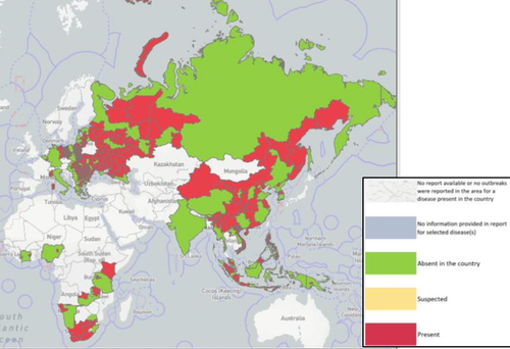 Situación global de la peste porcina africana en enero de 2022. En rojo, países afectados. En verde, países sin casos. En gris, sin datos. Organización Mundial de Sanidad Animal (OIE)