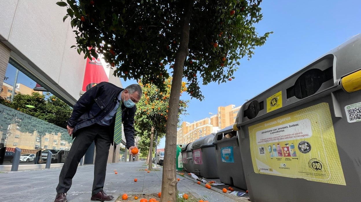 José Luis Sanz recoge naranjas del suelo