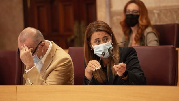 El Ayuntamiento de Sevilla lleva al Pleno este mes el nuevo impuesto de plusvalías