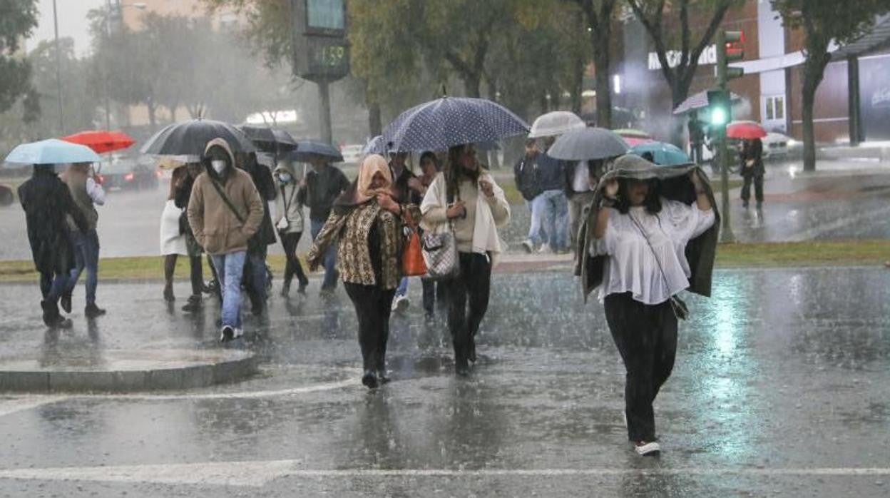 La lluvia no abandonará Sevilla hasta el fin de semana