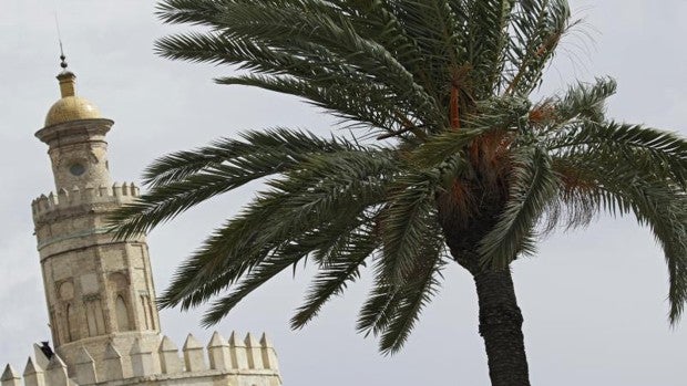 El tiempo en Sevilla: fuertes vientos y una nueva borrasca marcarán el inicio de la semana