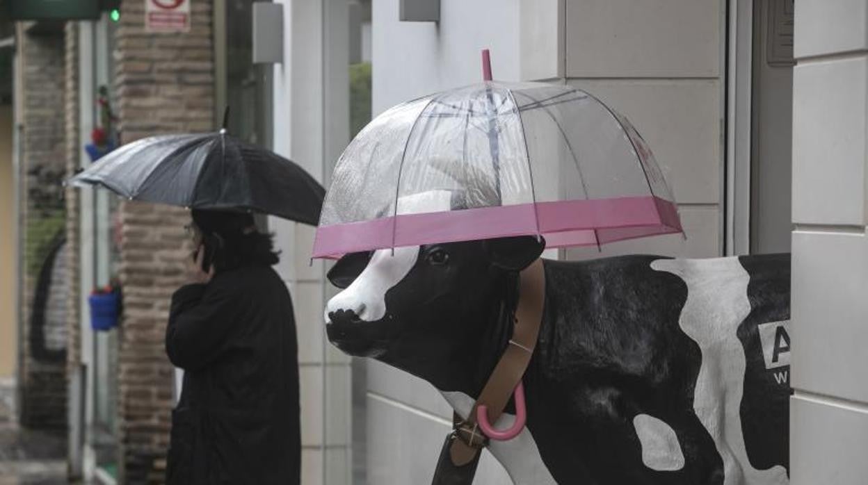 El jueves ha amanecido lluvioso en Sevilla pero dará paso a tiempo seco el fin de semana