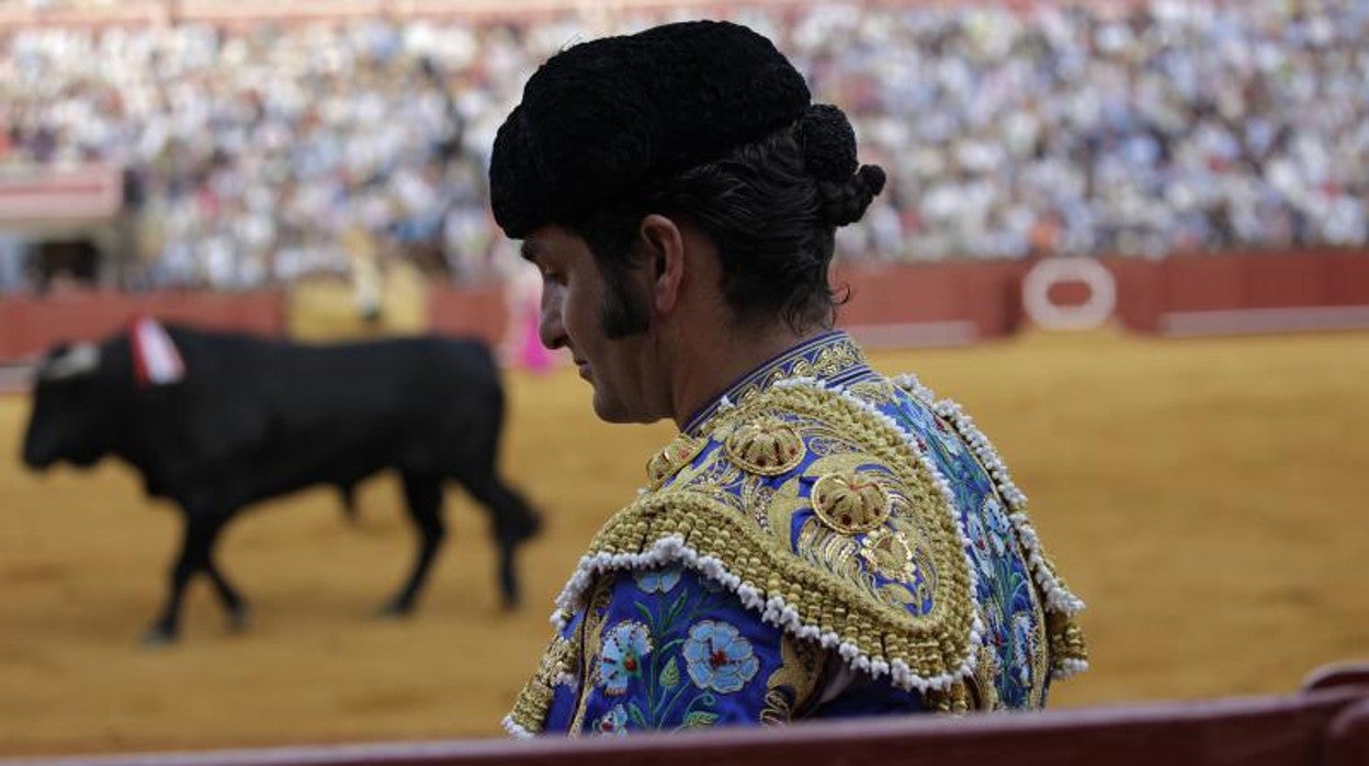 Morante de la Puebla en su última corrida en la plaza de la Maestranza