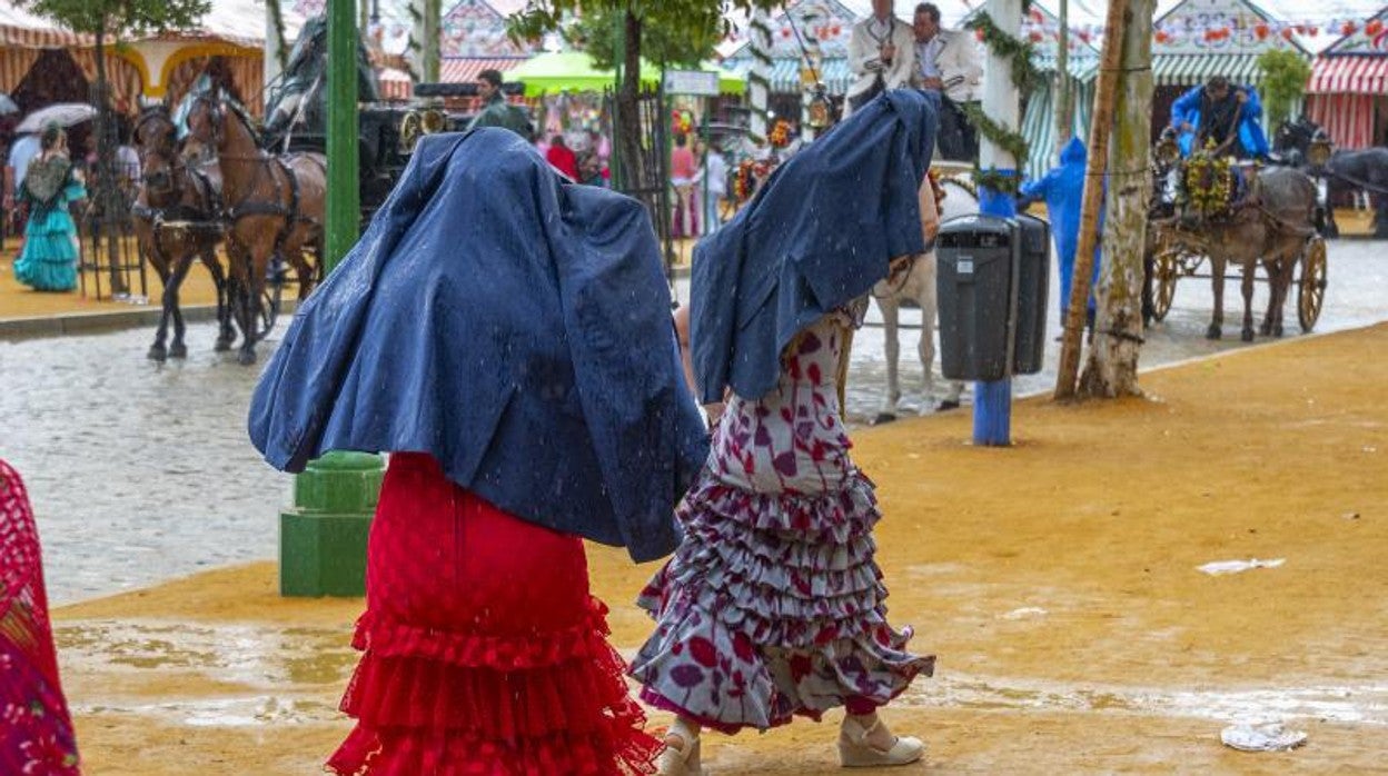 Dos flamencas se resguardan de la lluvia del pasado lunes