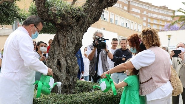 El Virgen del Rocío homenajea este año a los donantes de trasplantes pediátricos