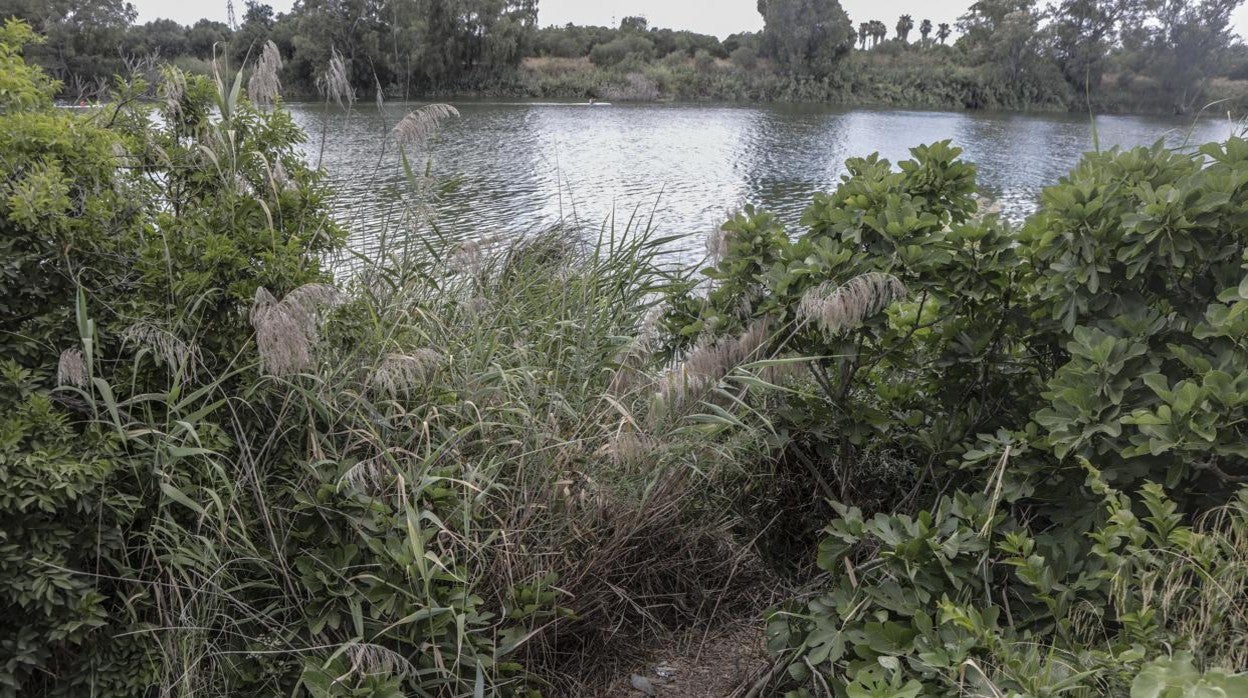 Lugar donde apareció el cadáver de Virginia, en el río Guadalquivir