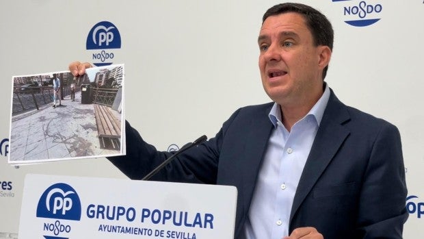 El PP denuncia la suciedad de Sevilla: «Ni trabajan con inmediatez ni limpian como se debe»