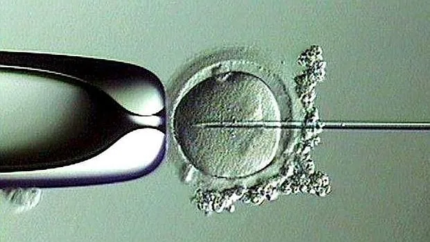 El caso había levantado mucha expectación en California, donde hay muchas clínicas de fertilidad