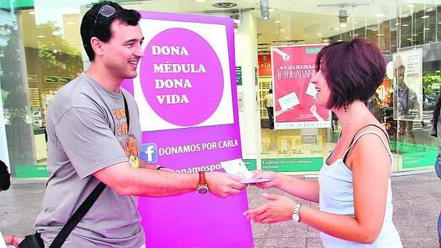 España también es un ejemplo en la donación de médula