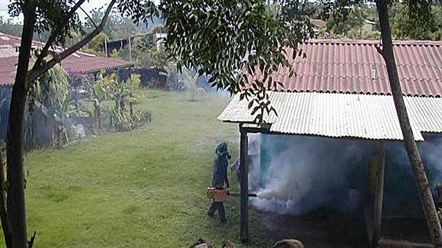 Trabajos de fumigación contra los mosquitos transmisores del zika, principal vía de contagio, en Santiago de Chile, hoy