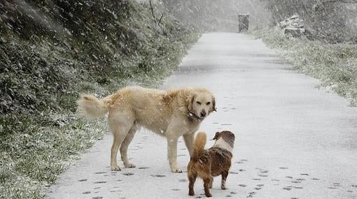 Nieve en Lugo