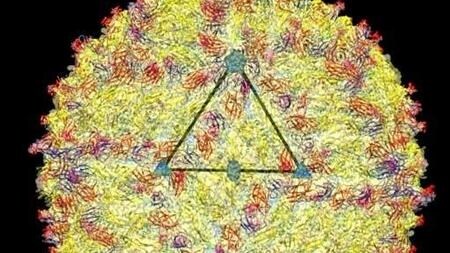 Estructura del virus zika