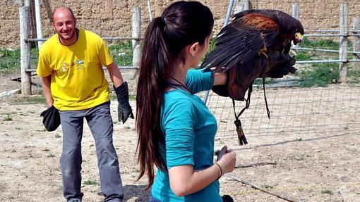 Las rapaces llaman mucho la atención de los adolescentes porque se identifican con su carácter independiente