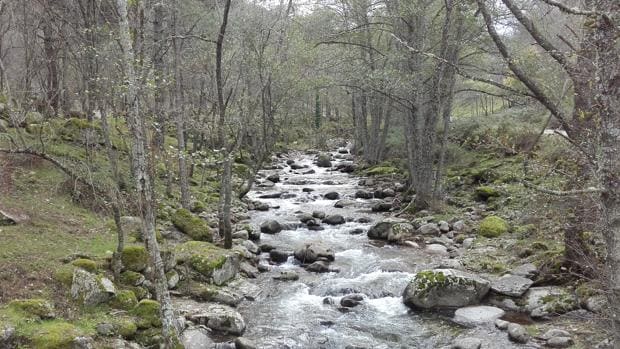 Seis increíbles ríos vírgenes de España que son grandes desconocidos