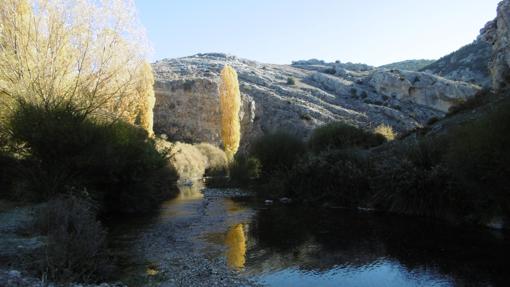 Reserva Natural Fluvial del Río Zumeta