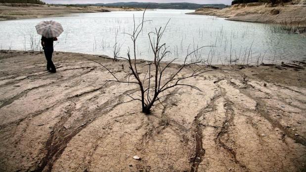 Imagen de la sequía en el embalse de la Pedrera (Alicante) en enero de 2012