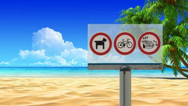 Las playas españolas permiten, en ocasiones, la entrada y el baño de los perros