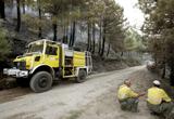 Cinco razones para cuidar los bosques y cinco ideas para lograrlo