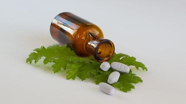 Plantas y remedios antualres usadas como medicinas