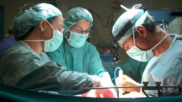 Un equipo médico, durante una operación de trasplante