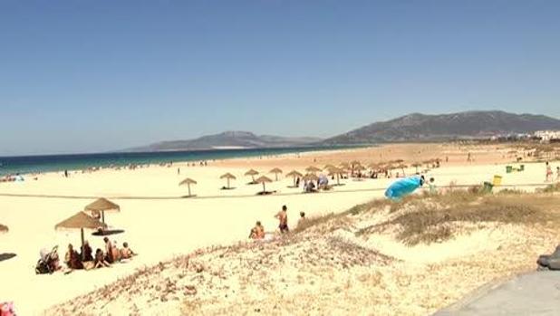 El viento de levante causa pérdidas económicas en la costa gaditana