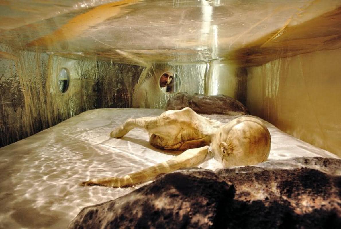 La momia Ötzi usaba su ingenio para diseñar sus ropajes
