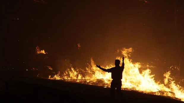 Un bombero combate un incendio forestal en Portugal