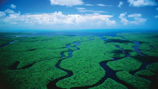 Los otros «puntos negros» del Patrimonio Mundial natural