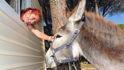 El apadrinamiento, la alternativa para quien no puede adoptar una mascota