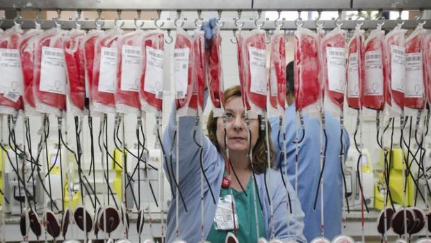 Logran transformar células de la piel en plaquetas