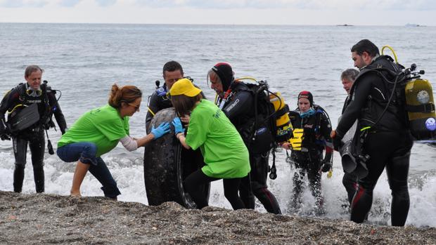 Decenas de buceadores voluntarios comienzan a retirar toneladas de residuos de nuestros mares