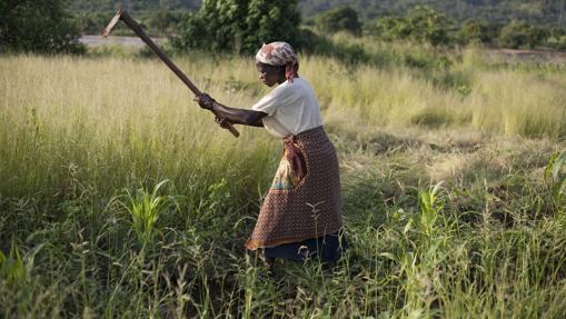 Así se envejece en América Latina, África y Asia