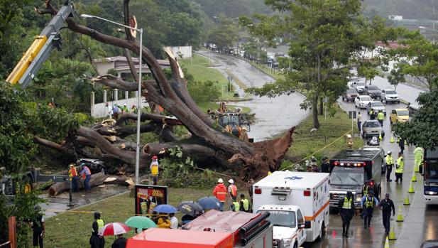 Obreros trabajan en retirar un árbol que cayó sobre un vehículo a causa de la tormenta tropical Otto este martes en Ciudad Panamá