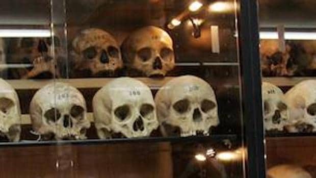 Cráneos en el Museo de Antropología Forense de Madrid