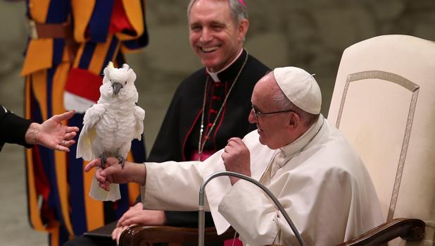 El Papa sonríe ante un ave que le colocan los artistas del circo