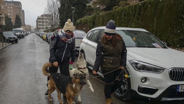 Una personas caminan con sus perros cuando comienza a nevar en Jaén. Según la Agencia Estatal de Meteorología (Aemet) prevé nevadas en el tercio oriental de Andalucía con la cota de nieve en torno a 300-500 metros subiendo durante el día