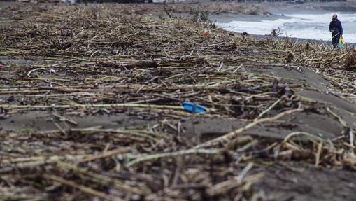 Un hombre observa los desechos de cañizal que abarrota la playa de Estepona, uno de los lugares afectados por las inundaciones causadas por el temporal en las provincias de Málaga y Cádiz
