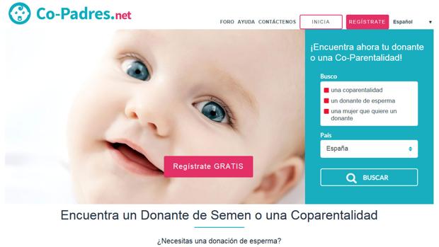 Imagen de una de las páginas web que ponen en contacto a donantes con futuras madres