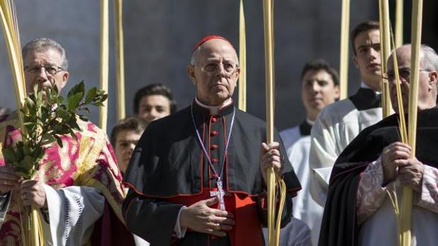 El cardenal Ricado Blázquez, durante la procesión de la Borriquita el pasado Domingo de Ramos en Valladolid