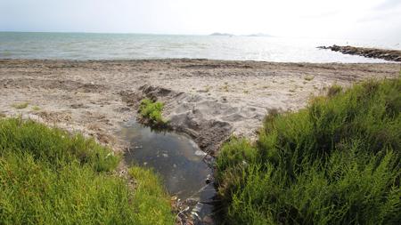 La suciedad ha anegado varias zonas de la Manga del Mar Menor