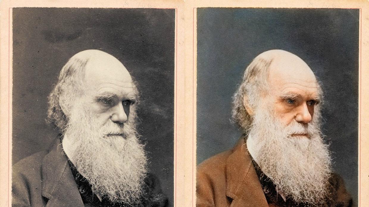 Charles Robert Darwin