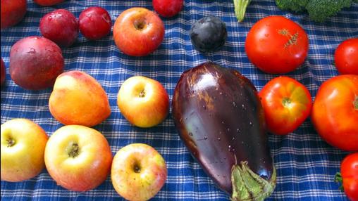 Una dieta basada en frutas y verduras es la base para una buena alimentación.