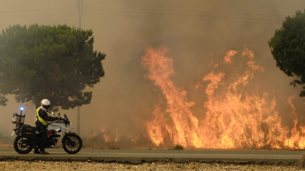 Las autoridades trabajan para tratar de controlar el fuego en el Parque Natural