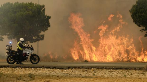 Llamas en los alrededores de Mazagón (Huelva) en el incendio declarado en Moguer