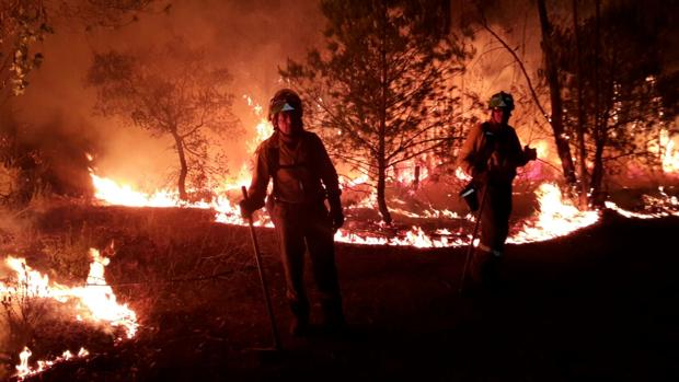 Diario de un técnico forestal: así se combatió el incendio de Doñana
