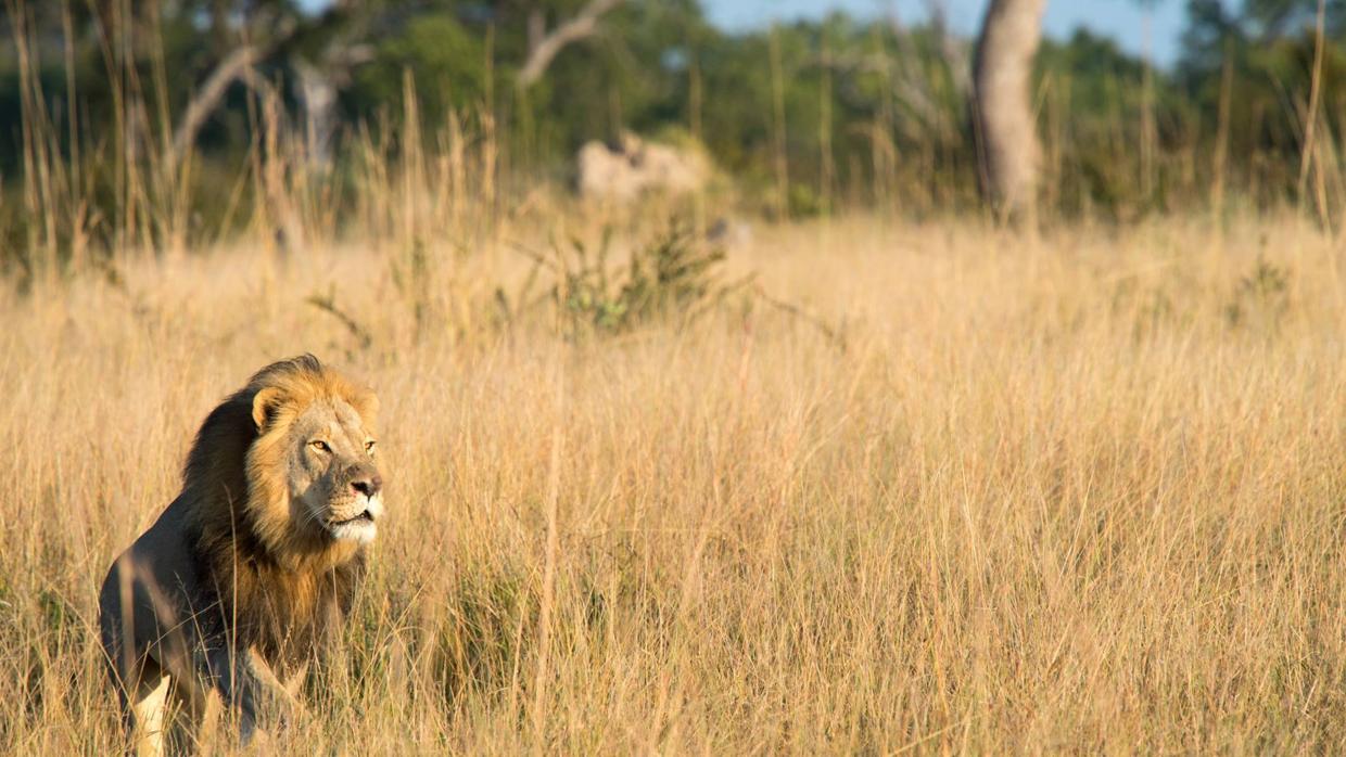 Últimas imágenes de «Xanda», el hijo de «Cecil»