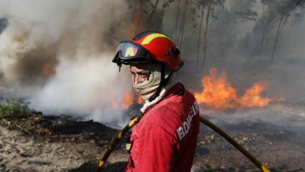 Bomberos combaten un incendio forestal en Portugal