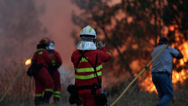 140.000 hectáreas calcinadas en Portugal este verano