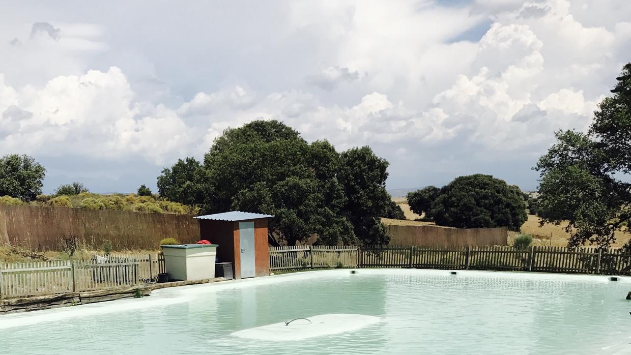 Perros se refrescan en un parque acuático