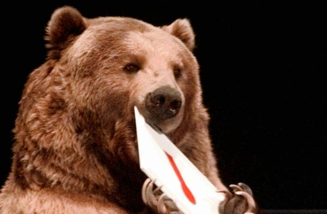 Ejemplar de un oso Kodiak